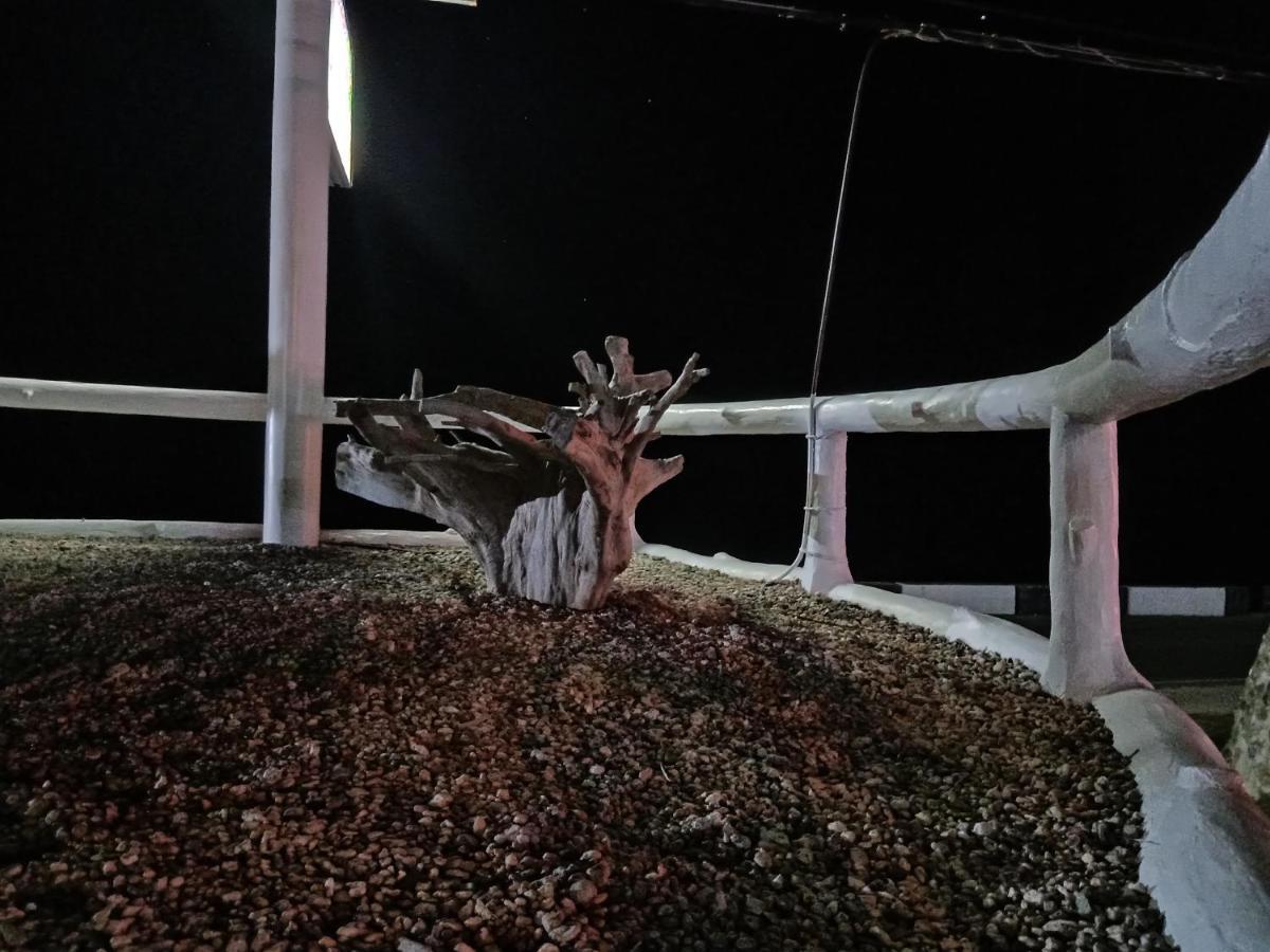 D' Partner'S Inn Jagna المظهر الخارجي الصورة