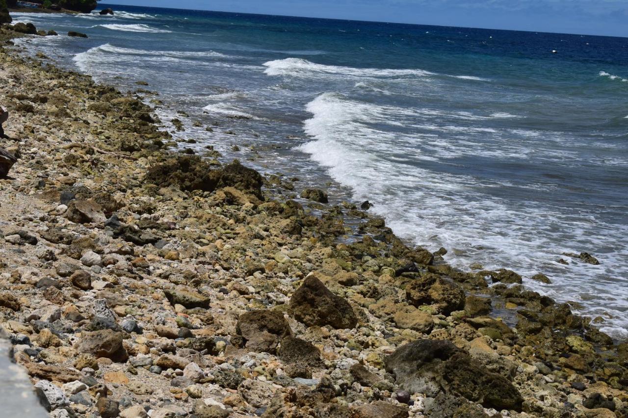 D' Partner'S Inn Jagna المظهر الخارجي الصورة