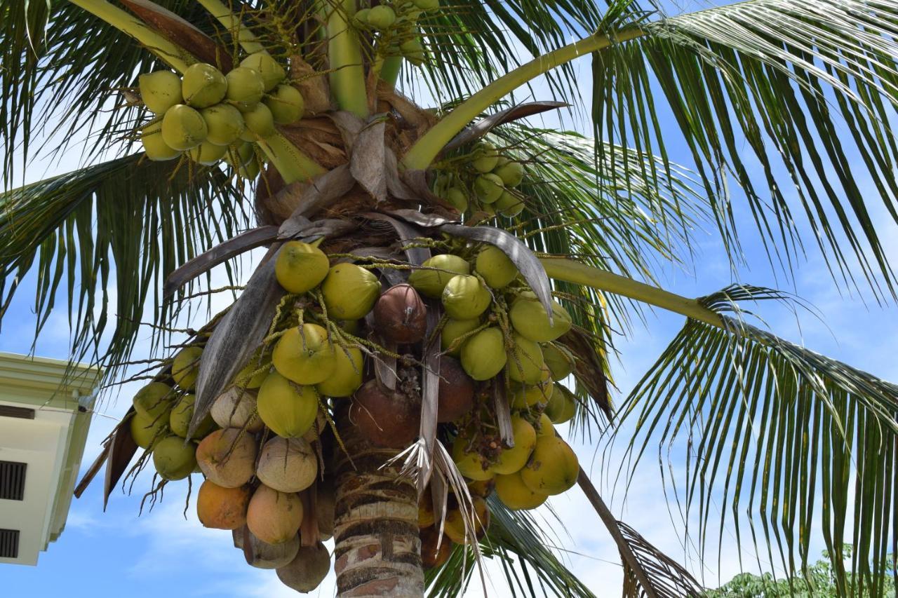 D' Partner'S Inn Jagna المظهر الخارجي الصورة